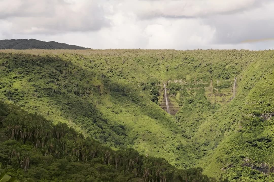Macchabée Forest Trails