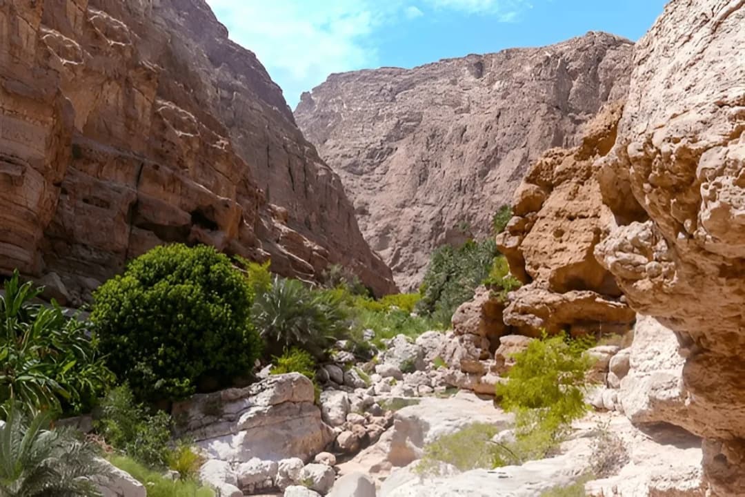 Wadi Shab