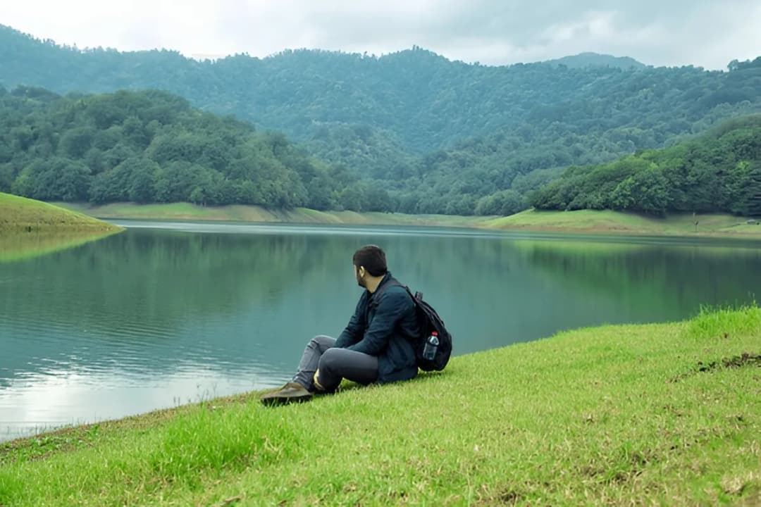 Wildlife Observation Areas