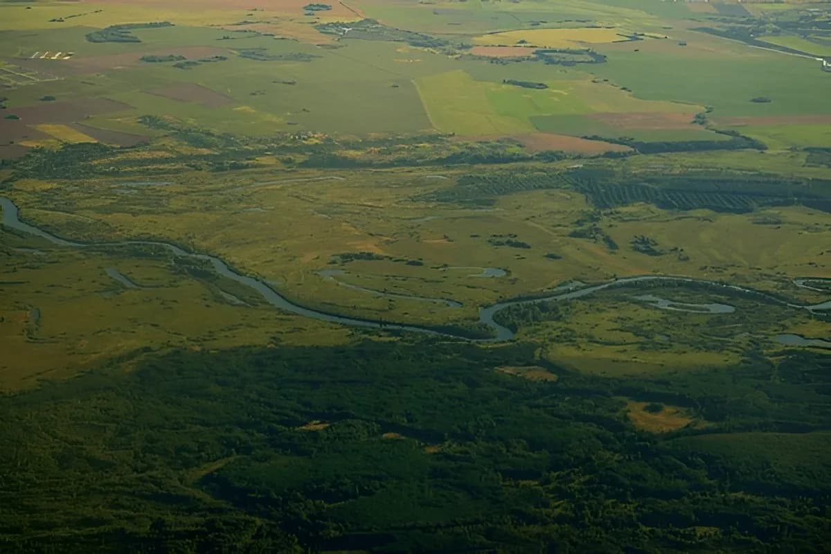 Pripyatsky National Park