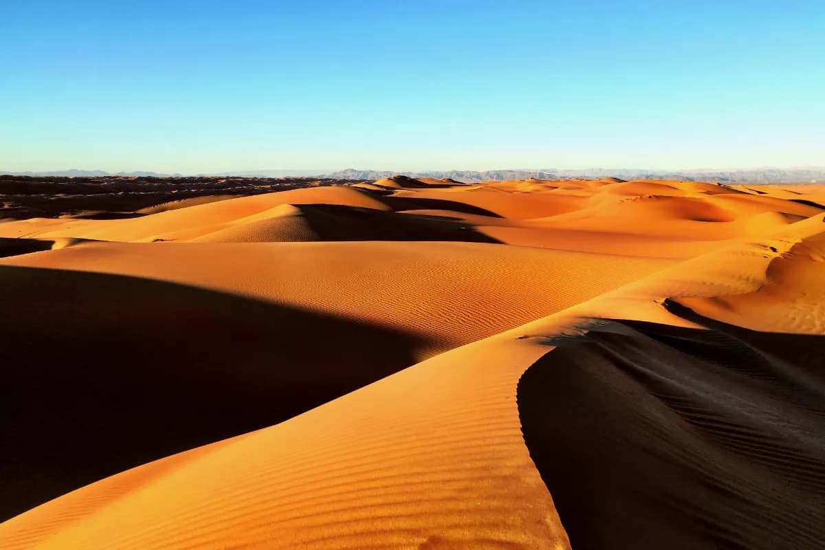 Wahiba Sands