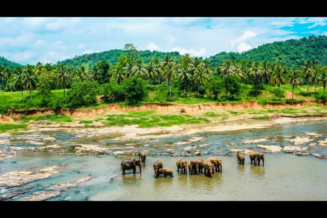 Riverside Viewing Areas