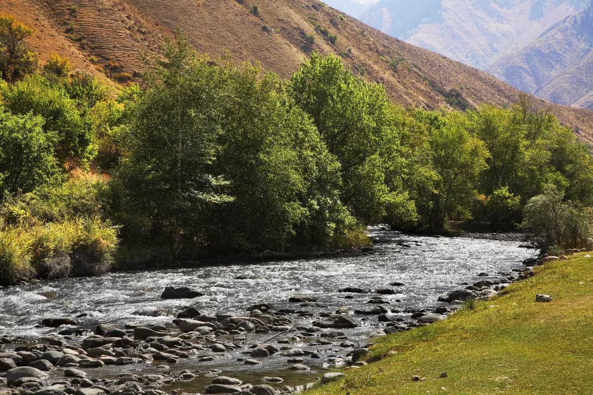 Turgen Gorge