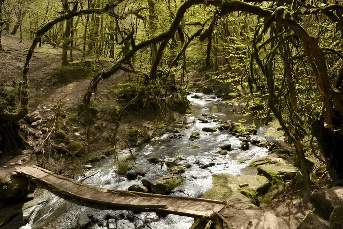 Hirkan National Park