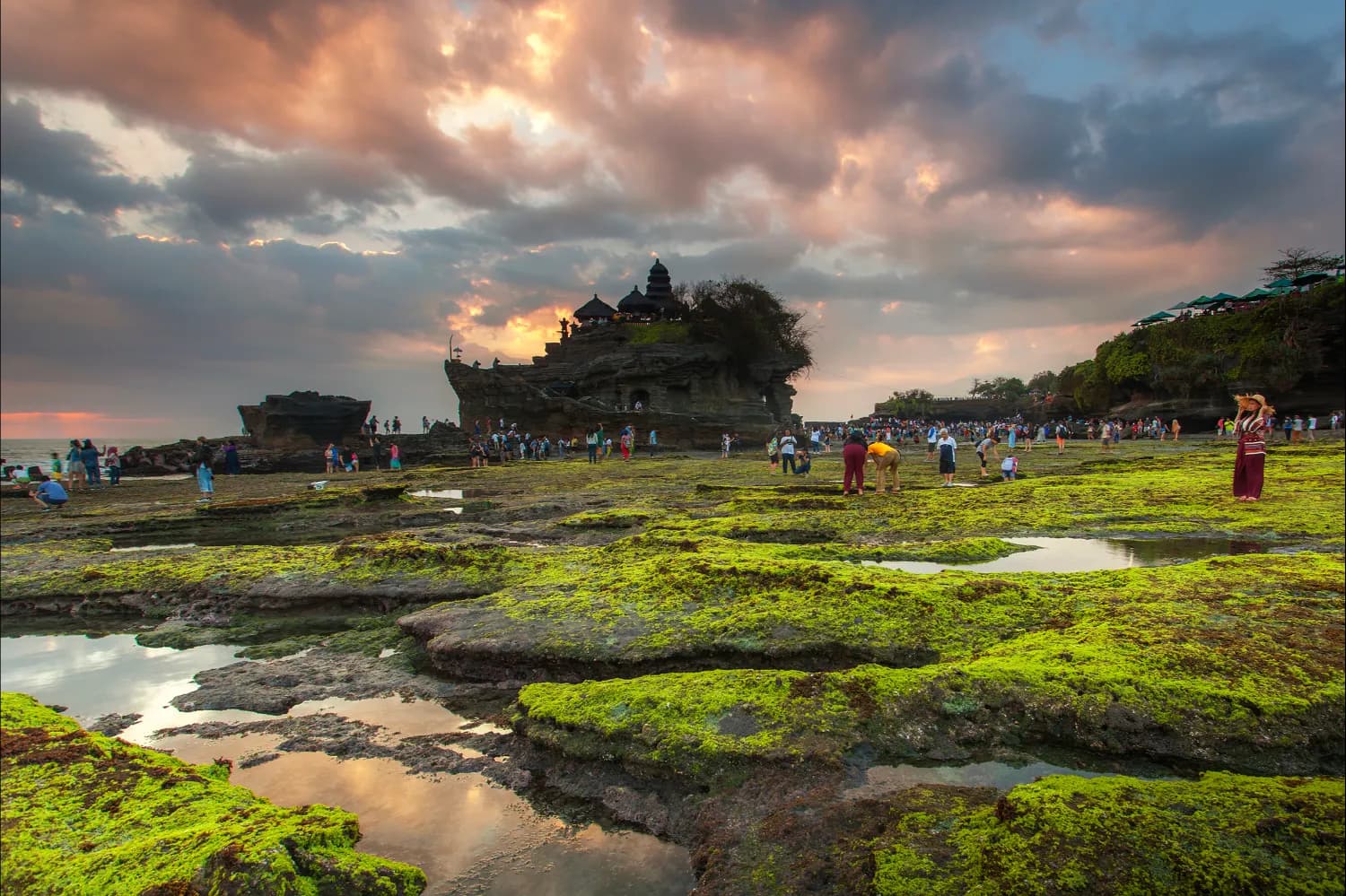Tanah lot sightseeing