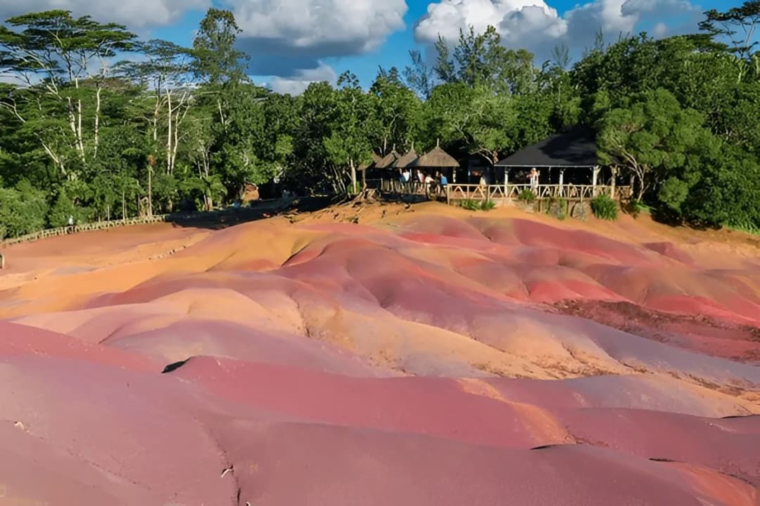 Giant Tortoise Enclosure