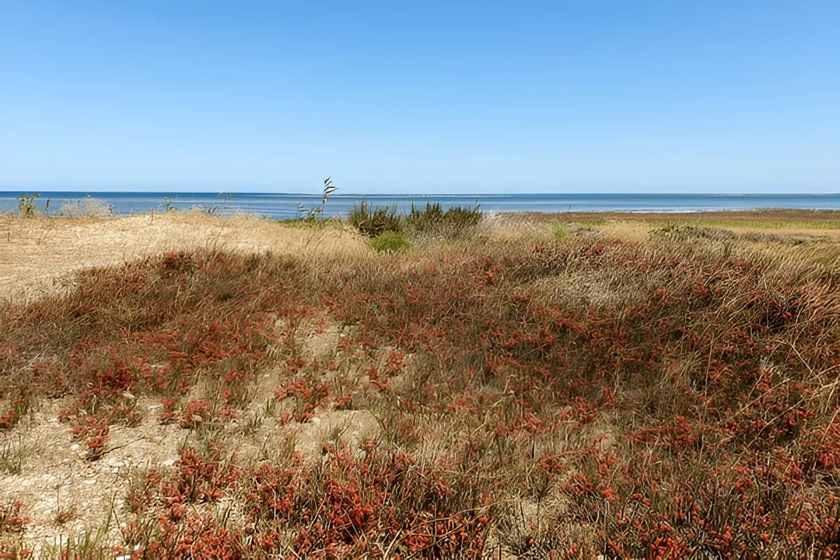Absheron National Park