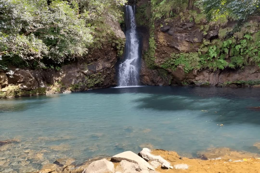Natural Swimming Pools
