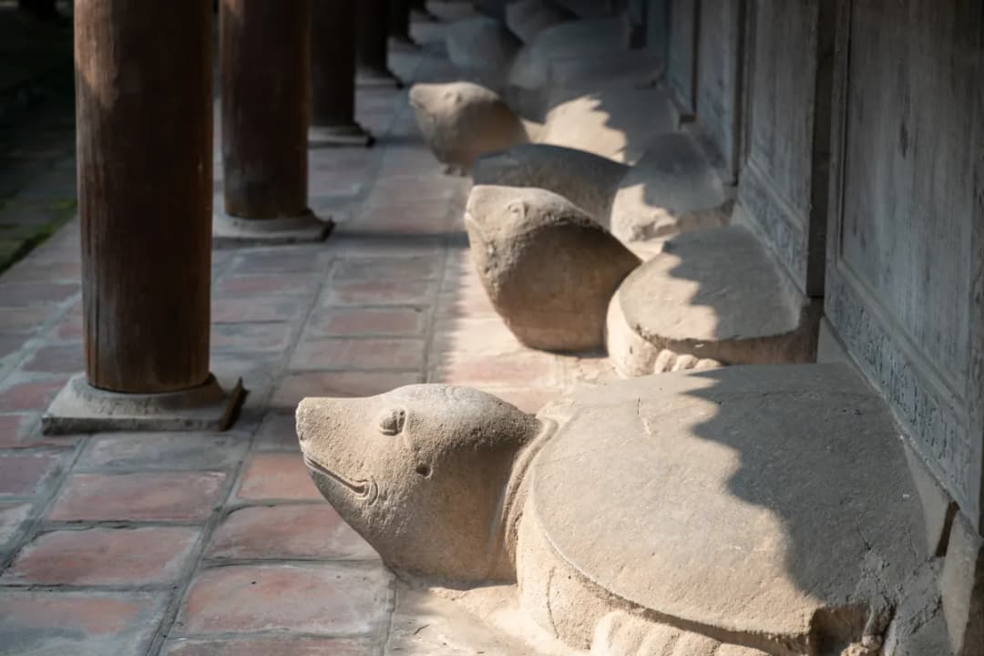 Stone Stelae of Doctors
