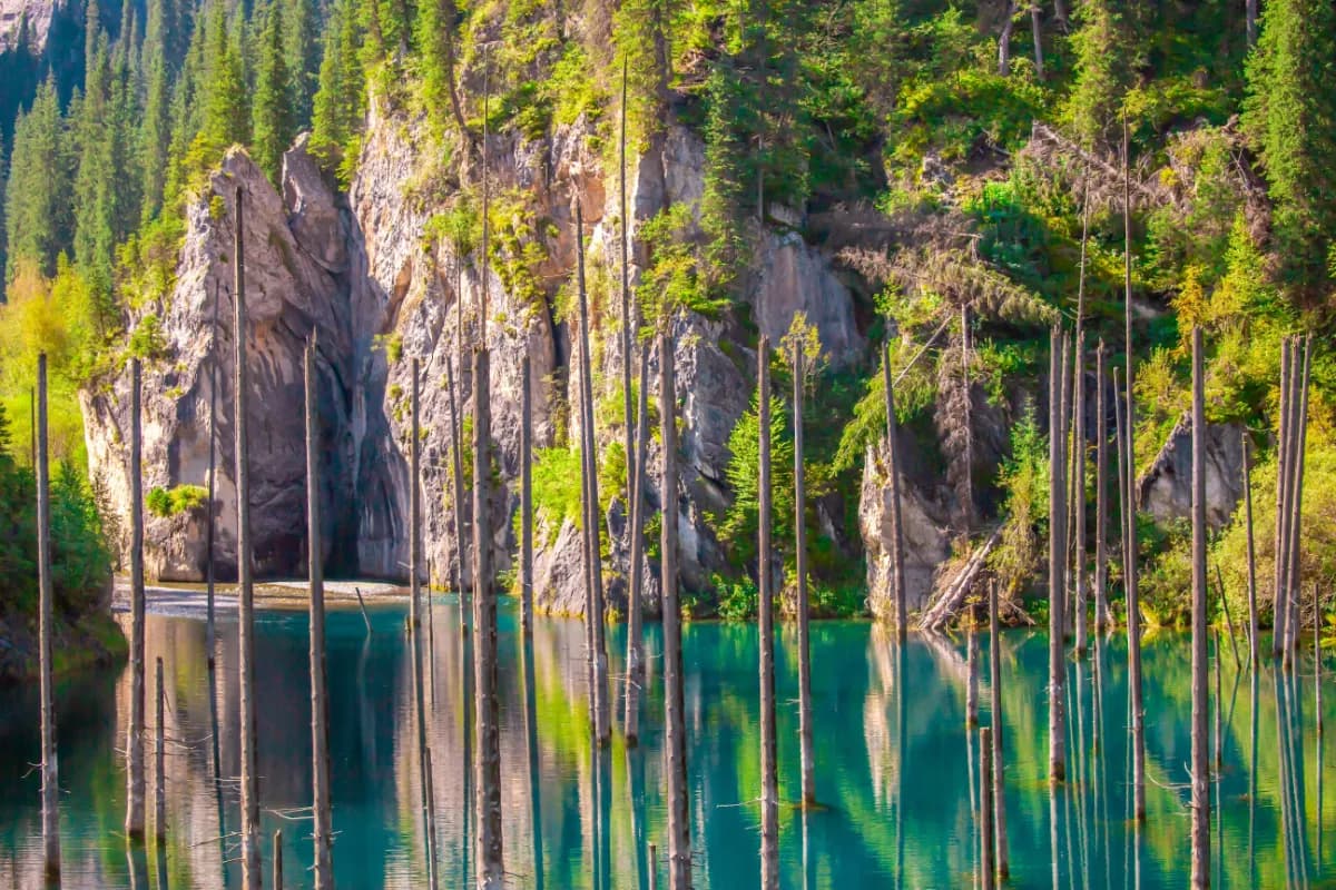 Sunken forest of Lake Kaindy