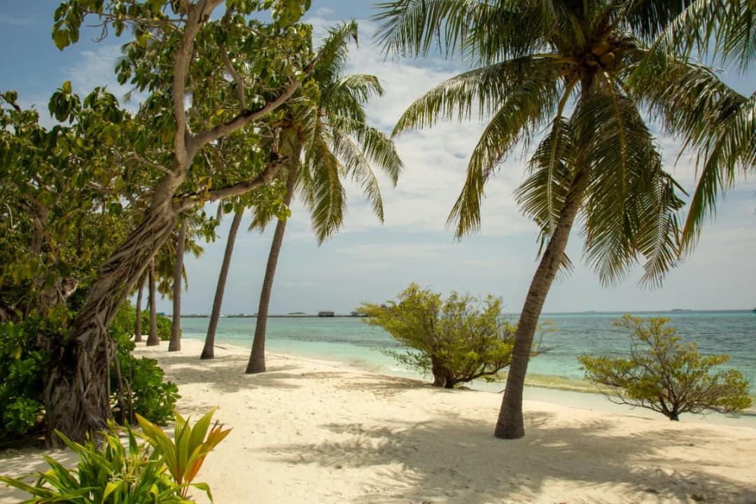 Fulhadhoo Beach