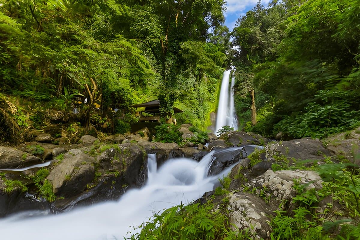Git Git Waterfall
