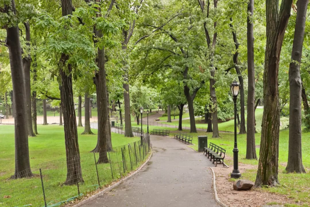 Central Park
