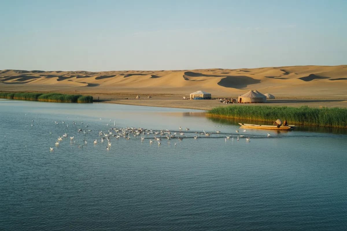 Aydar Lake, Uzbekistan