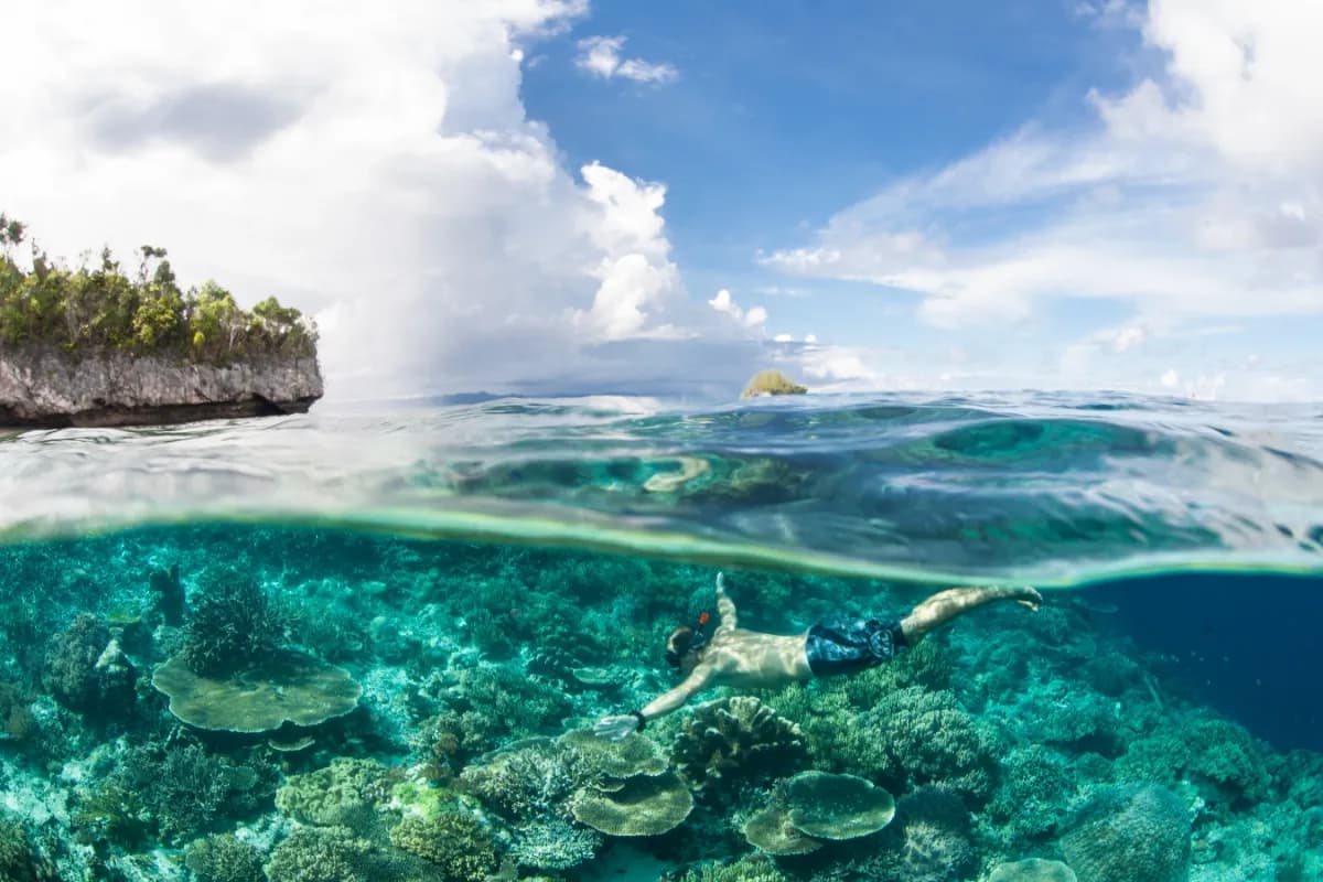 Snorkelling Trail - Reef Conservation