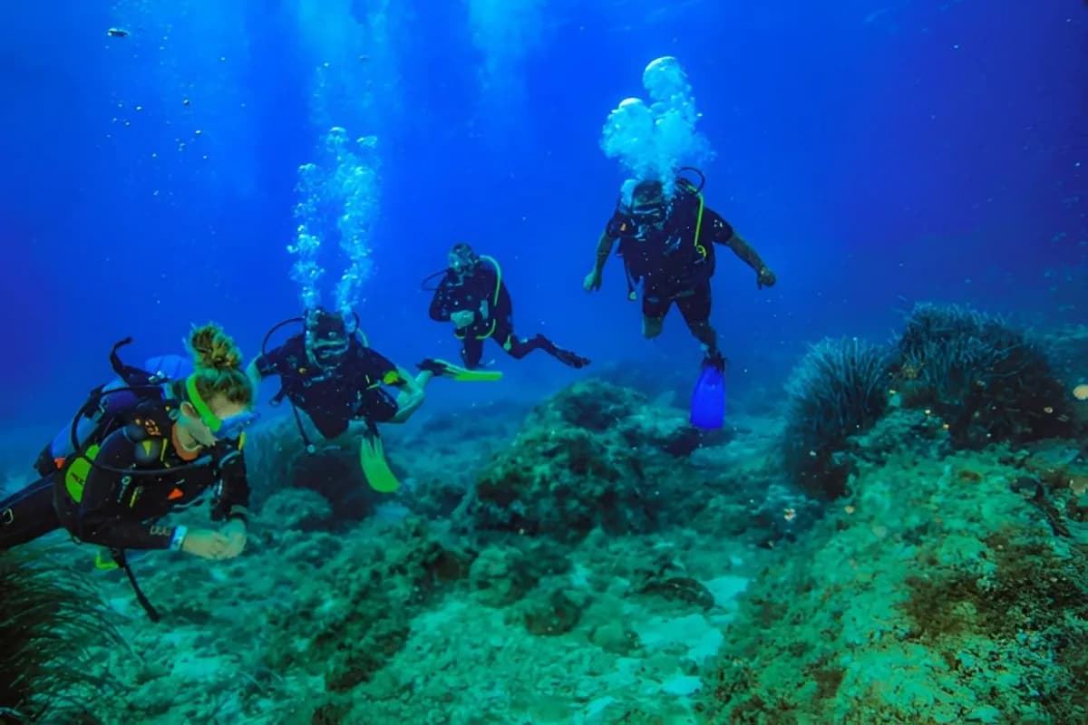 Scuba Diving at L'Ilot