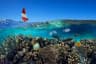 Coral reef in a Maldives