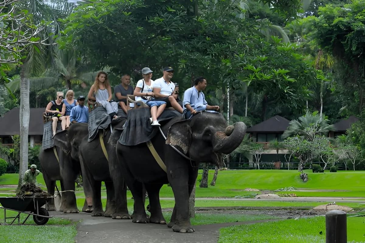 Bali Zoo