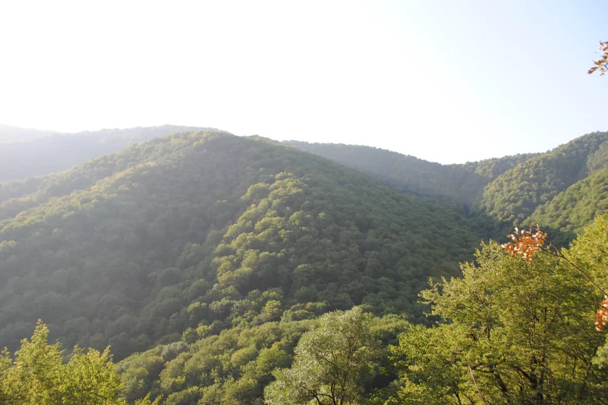 Shikahogh State Reserve