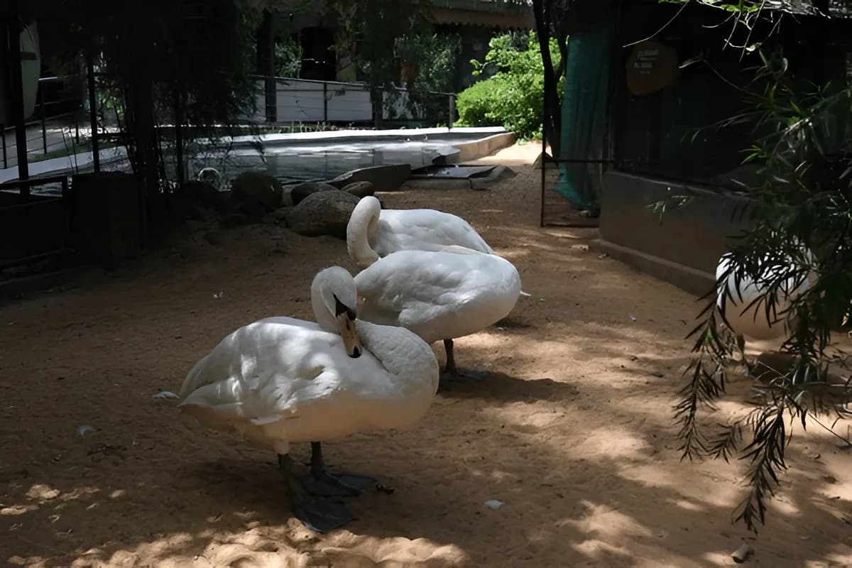 Dehiwala Zoological Gardens