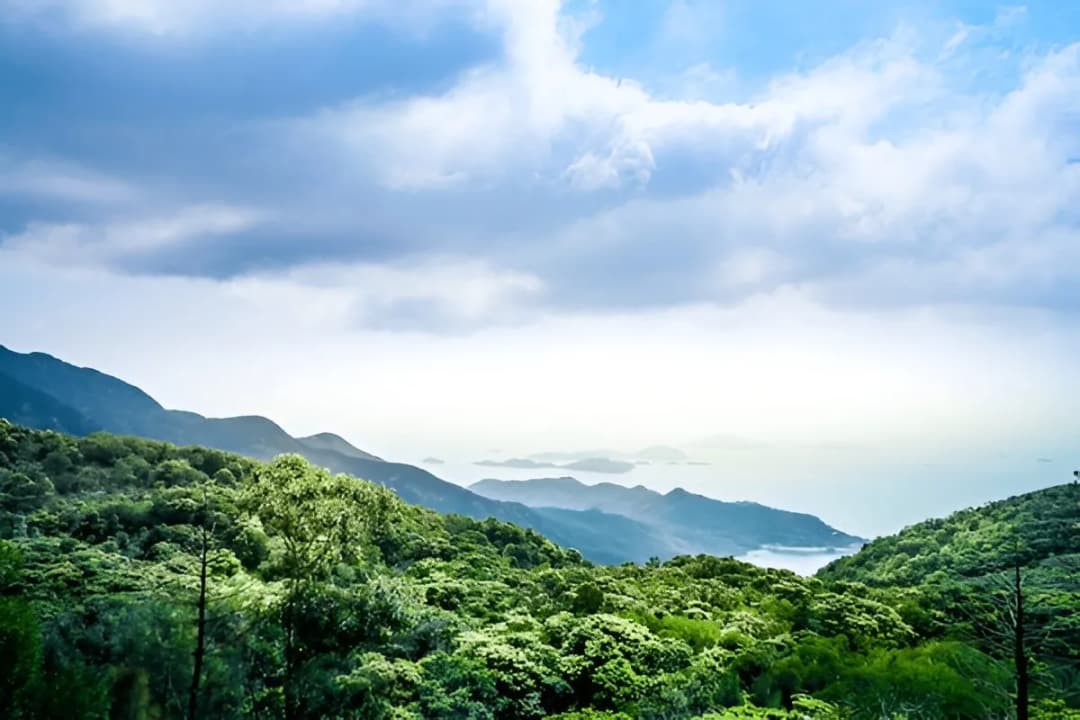 Biodiversity Observation Zones