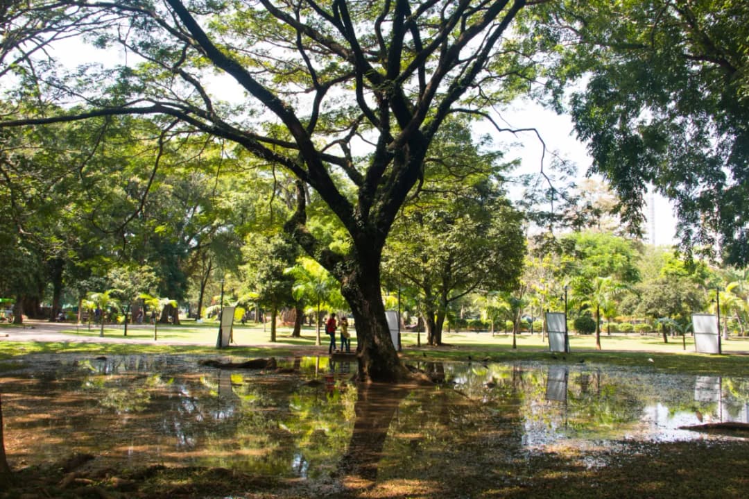 Colombo City Activities Nearby