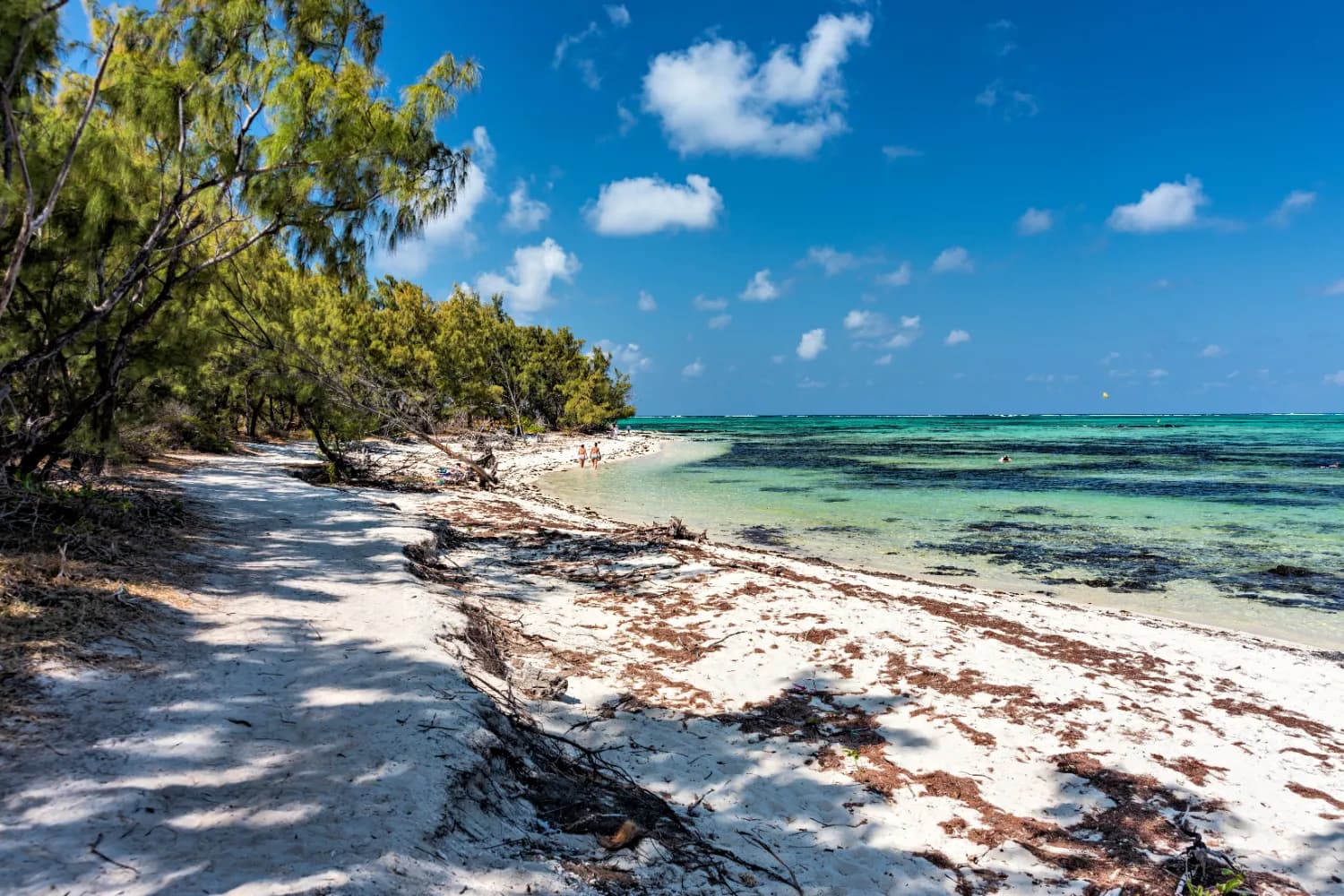 Ile aux Cerf