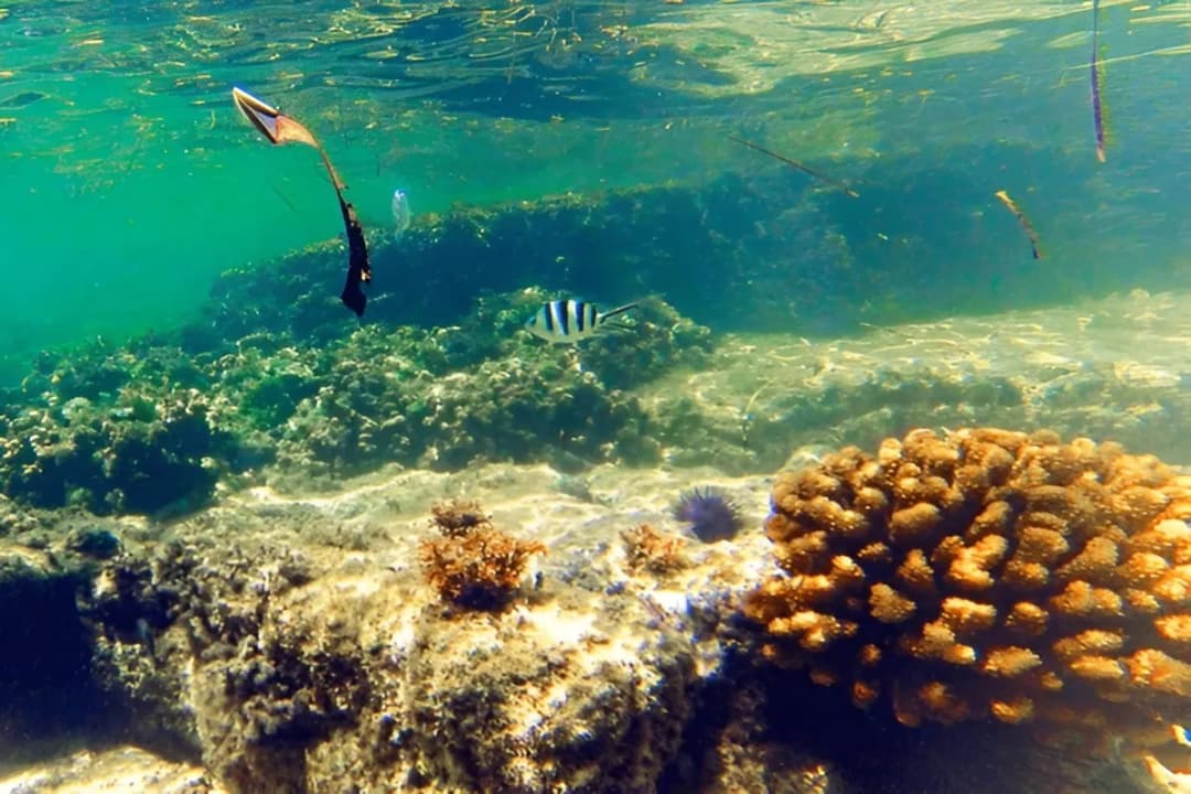 Blue Bay Marine Park