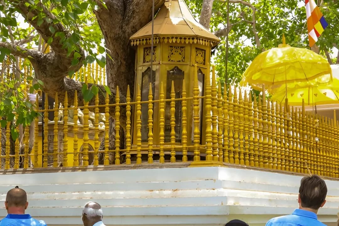 Golden Railing Enclosure