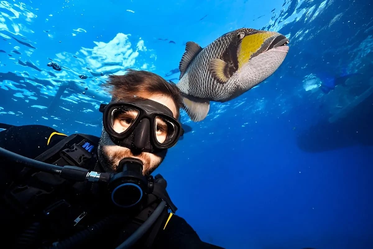 Snorkeling in Thailand