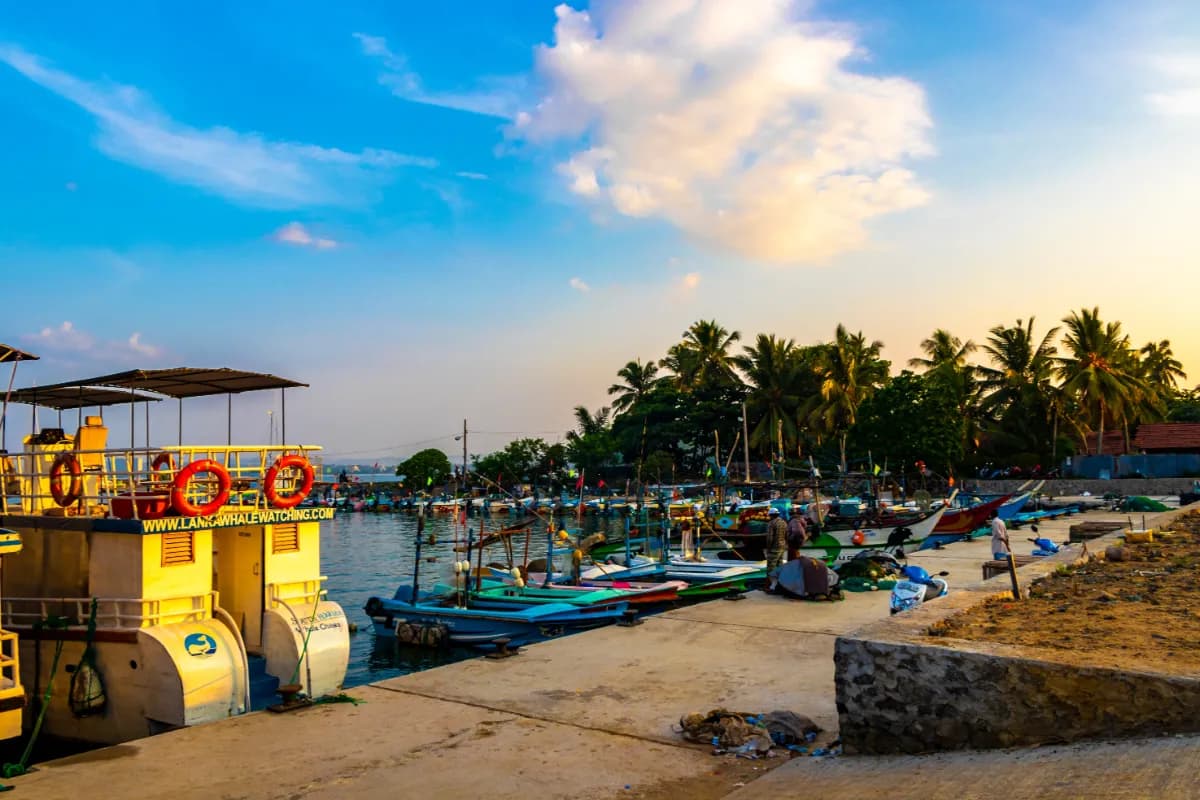 Mirissa Beach scenic beach in Sri Lanka’s Southern Province known for golden sands, whale watching, surfing, and vibrant coastal sunsets.