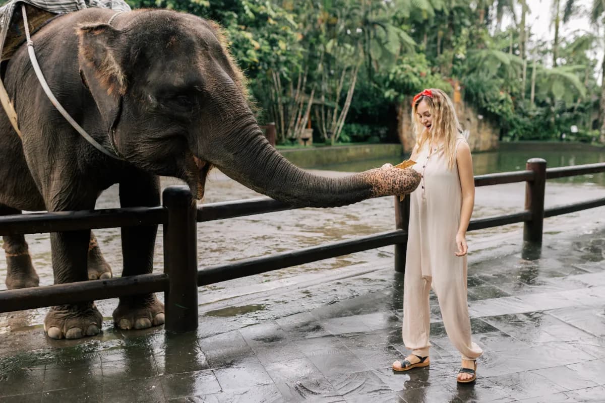 Bali Zoo