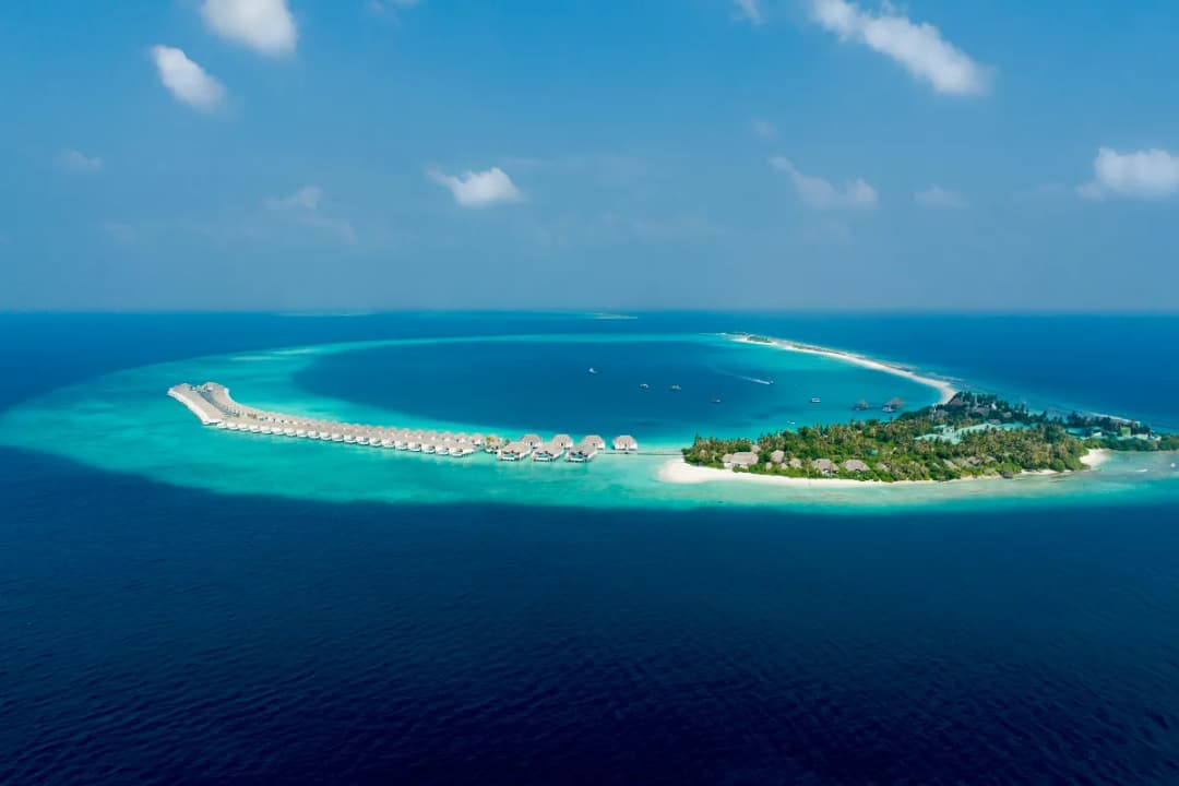 Reethi Beach Shoreline