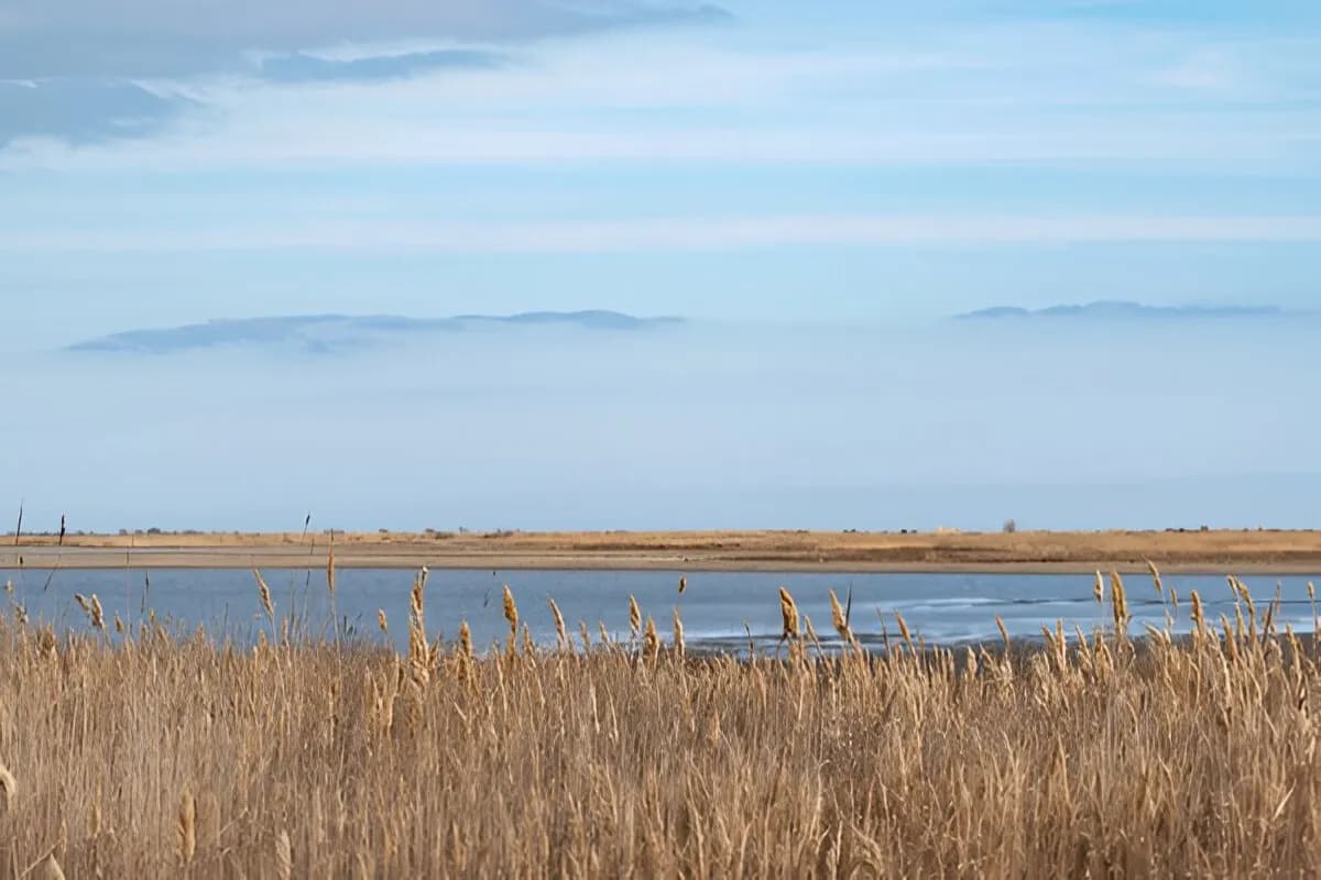 Absheron National Park