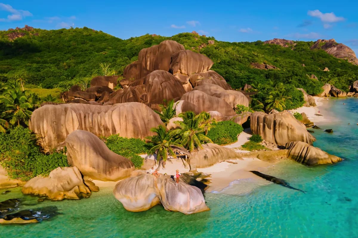 Bird Island