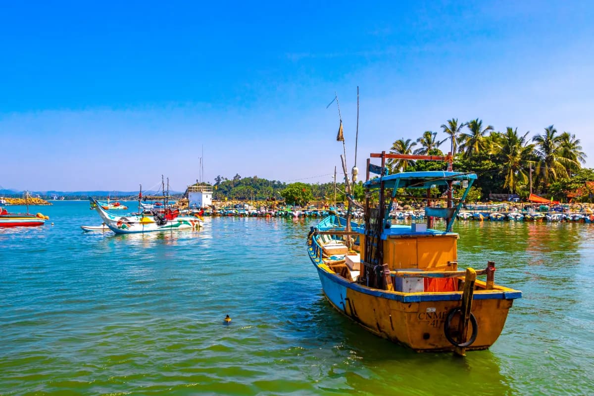 Mirissa Fisheries Harbour