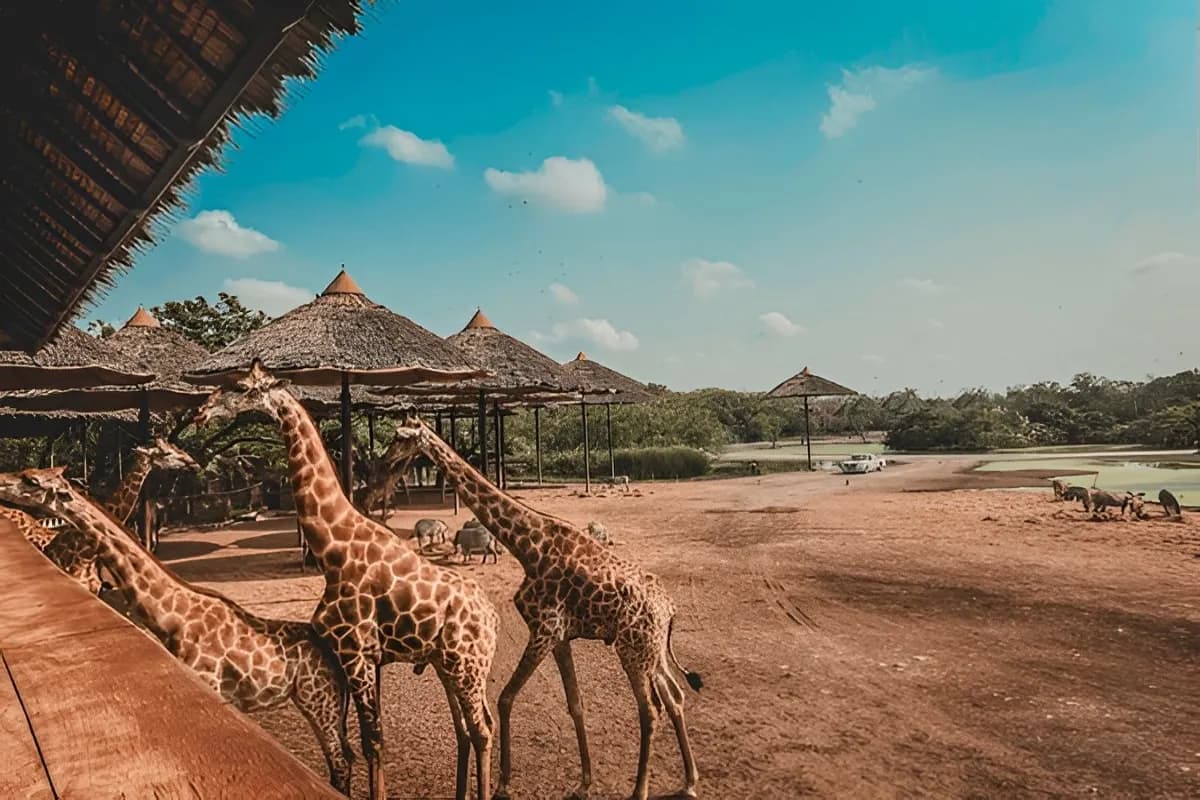 Wildlife Safari in Thailand
