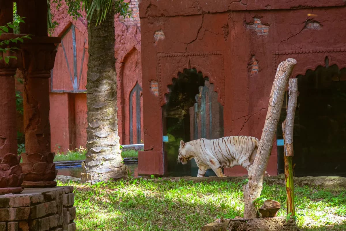 Bali Zoo