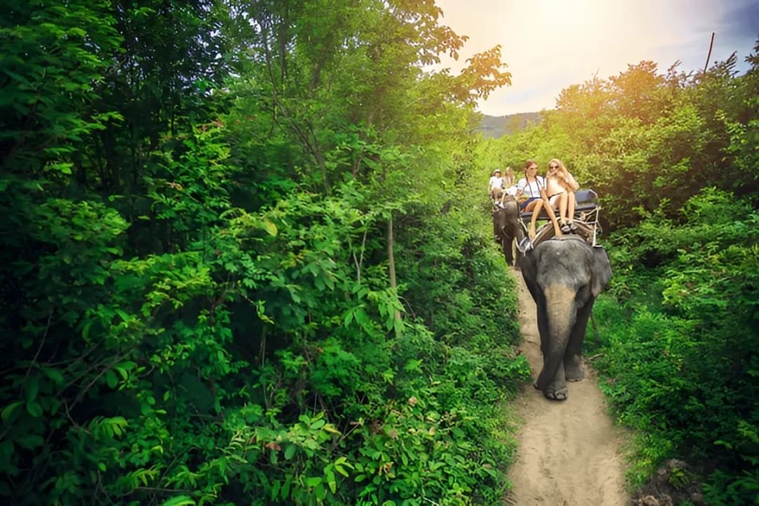 Chiang Mai Night Safari