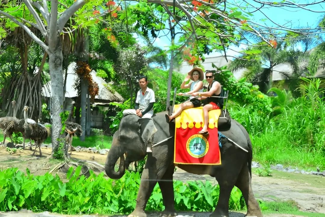 Khao Kheow Open Zoo