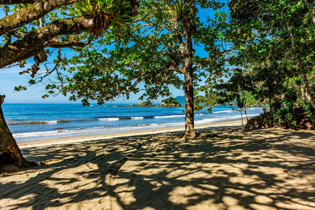 Baía do Sancho secluded tropical beach in Brazil known for turquoise waters, golden sands, dramatic cliffs, and pristine natural surroundings.