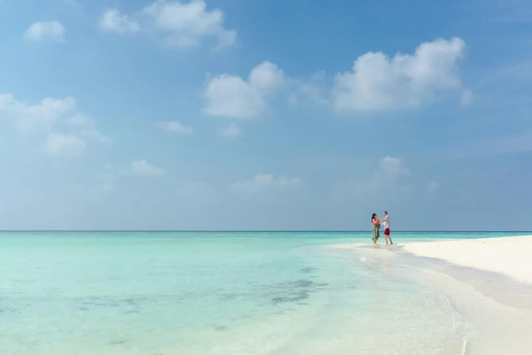 Sandbank Trips