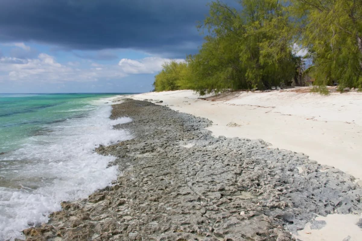 Aldabra