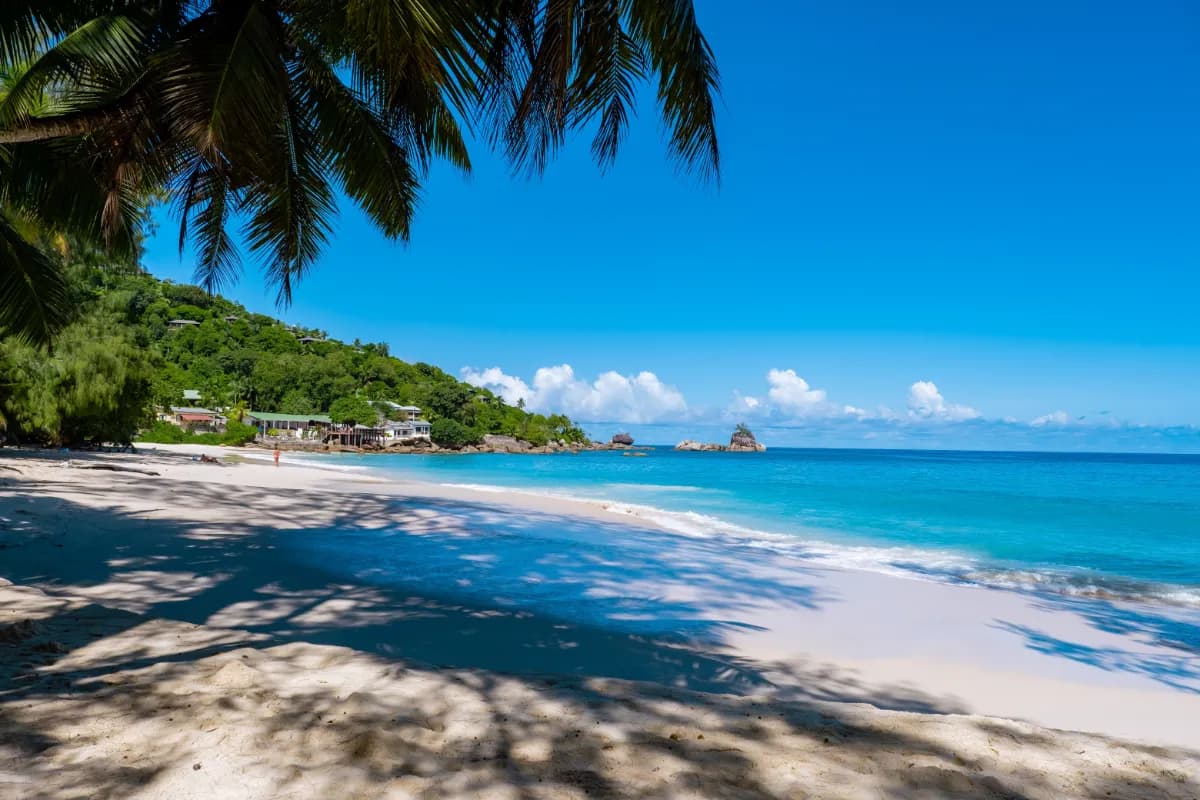 Beautiful view of Anse Intendance featuring white sandy shores, turquoise waves, granite rocks, lush greenery, and a peaceful tropical beach atmosphere.