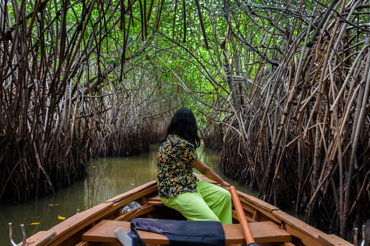 Madu River mangrove