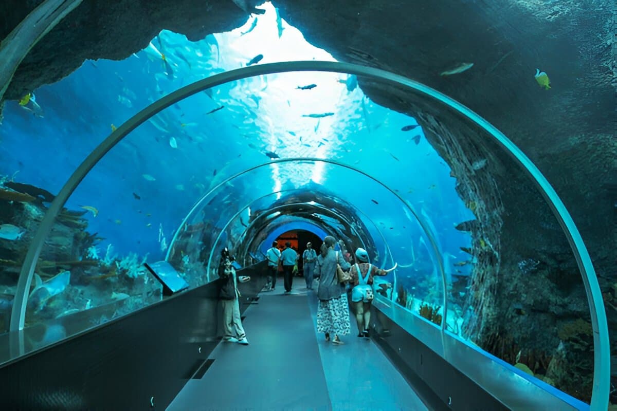 The S.E.A. Aquarium