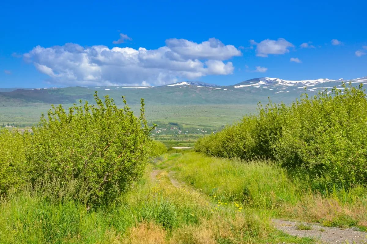 Mount Aragats landscape