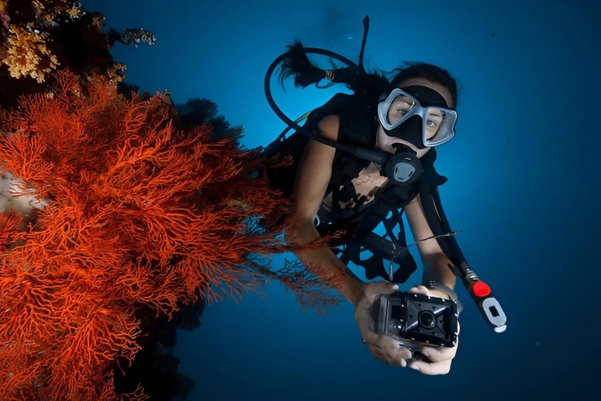Scuba Diving at L'Ilot