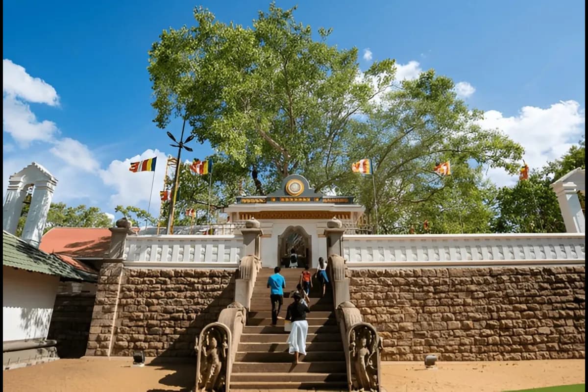Jaya Sri Maha Bodhi