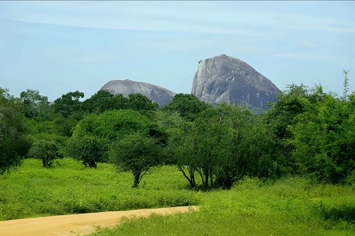 Yala National Park